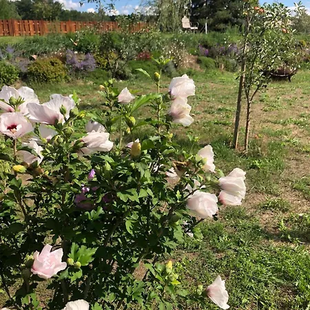 Scheune Zauchwitz Apartment *