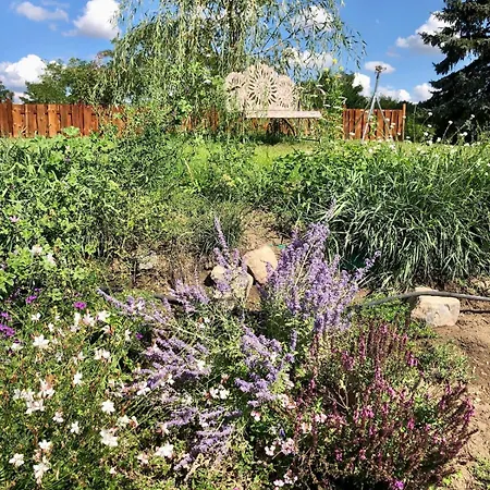 Apartment Scheune Zauchwitz *