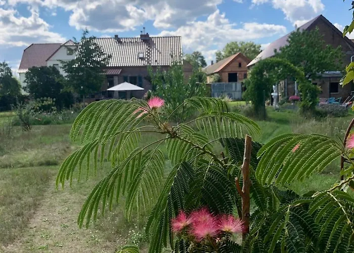 Scheune Zauchwitz بيليتس