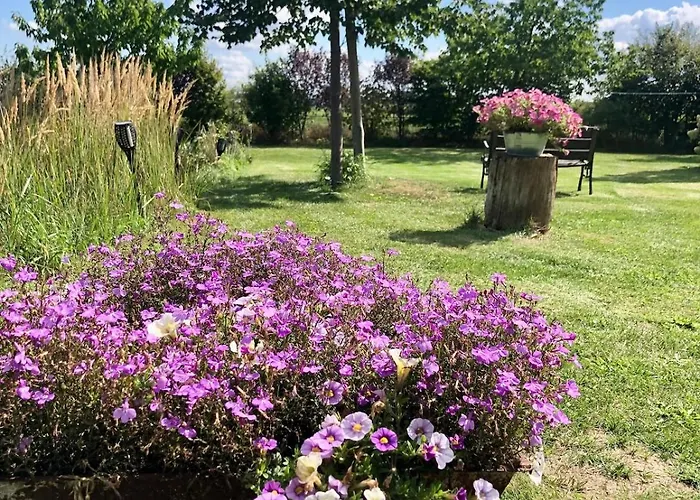 Scheune Zauchwitz * بيليتس